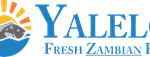 logo4